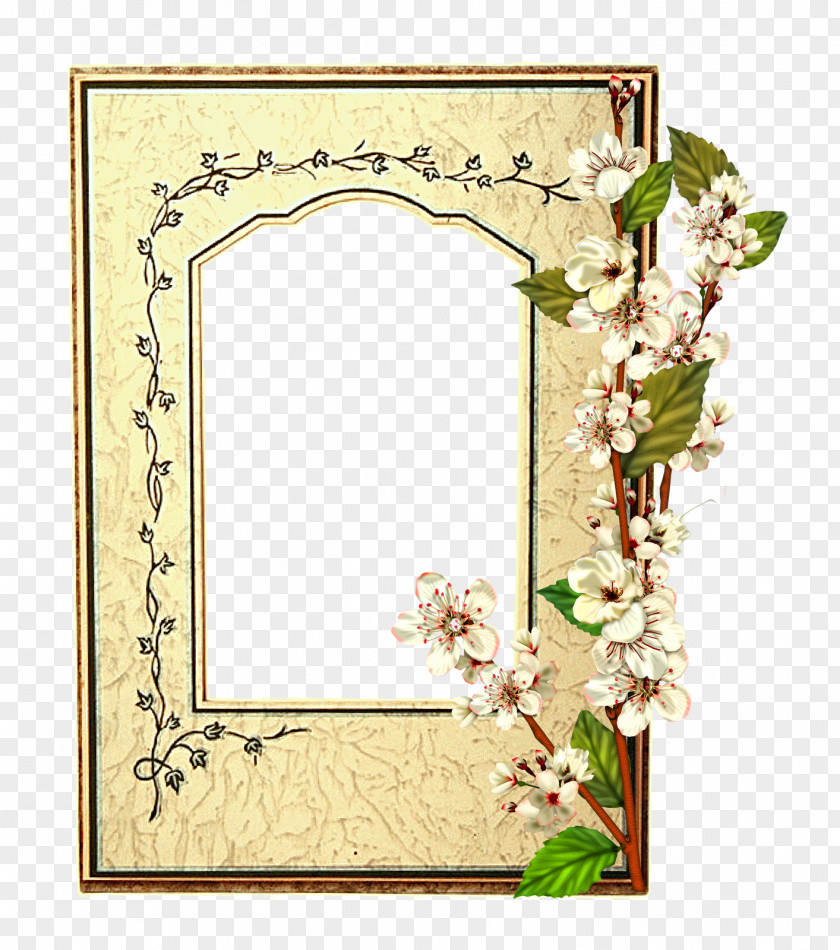 Marcos Picture Frames Photography Flower Drawing PNG