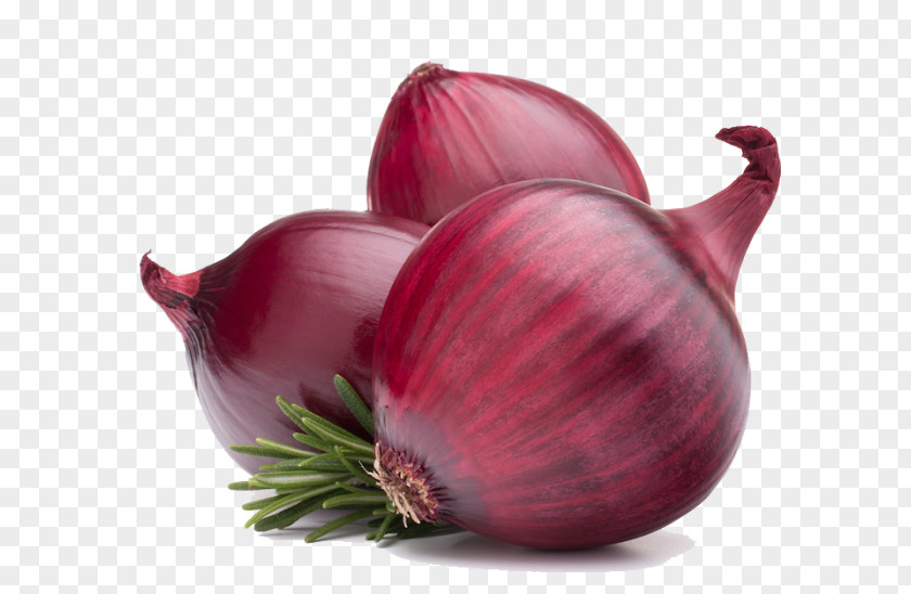 Onion Red Vegetable PNG