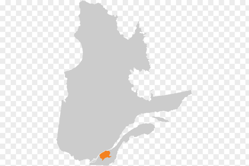 QUEBEC Blake Medical Distribution Inc. Gaspésie–Îles-de-la-Madeleine Quebec City Estrie Map PNG