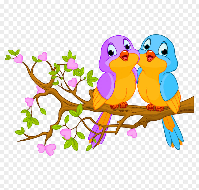Bird Lovebird Clip Art Vector Graphics Illustration PNG