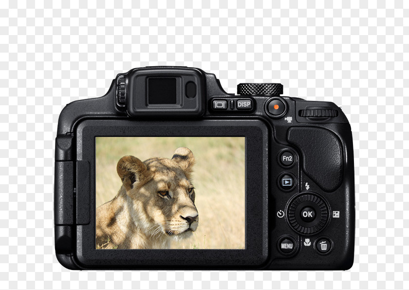 Camera Bridge Point-and-shoot Zoom Lens Nikon PNG