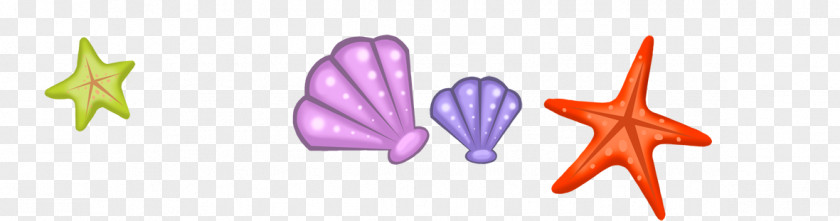 Conch Shell Starfish Seashell Biology Euclidean Vector PNG