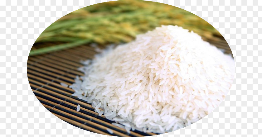 Jasmine Rice Thai Cuisine Basmati Glutinous PNG
