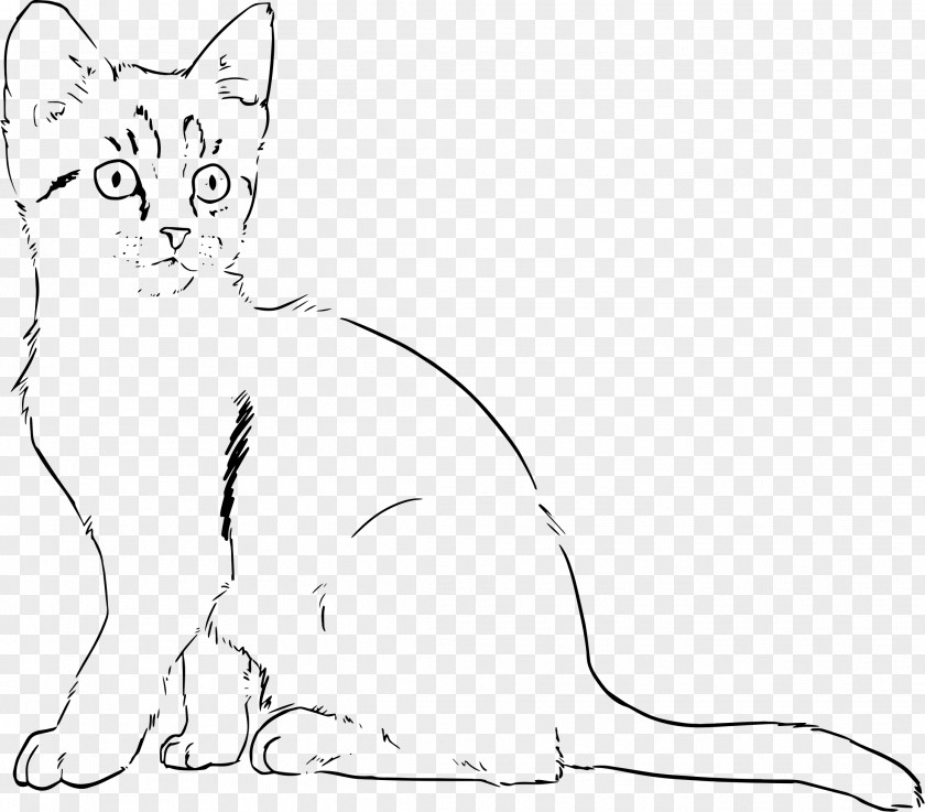 Kitten Cat Line Art Drawing PNG