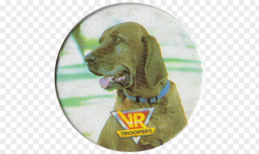 Mexican Taco Bell Number One Redbone Coonhound Weimaraner Vizsla Dog Breed Children's Television Series PNG
