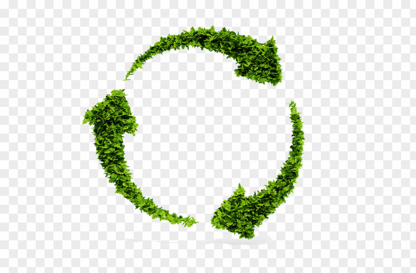Organic Trash Sustainable Development Sustainability Life-cycle Assessment Recycling Economic PNG