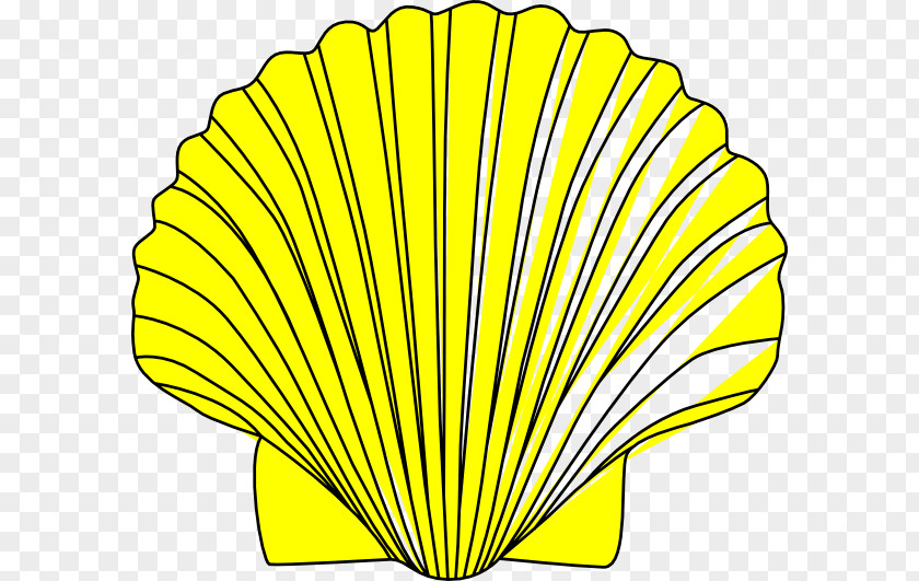 Shells Clipart Clam Seashell Clip Art PNG