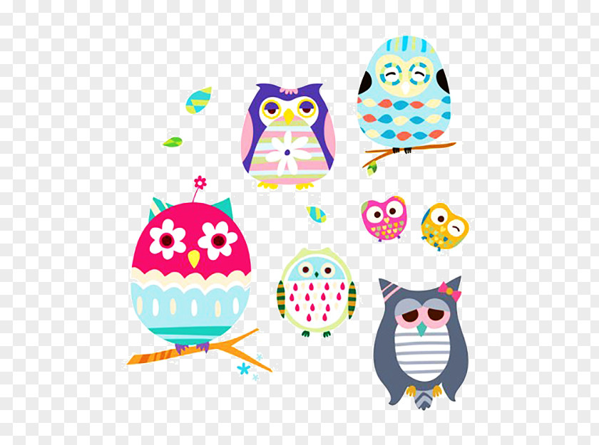 Colorful Owl Photography Drawing Illustration PNG