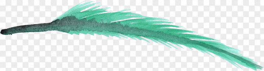 Feather Watercolor Painting Clip Art Image PNG
