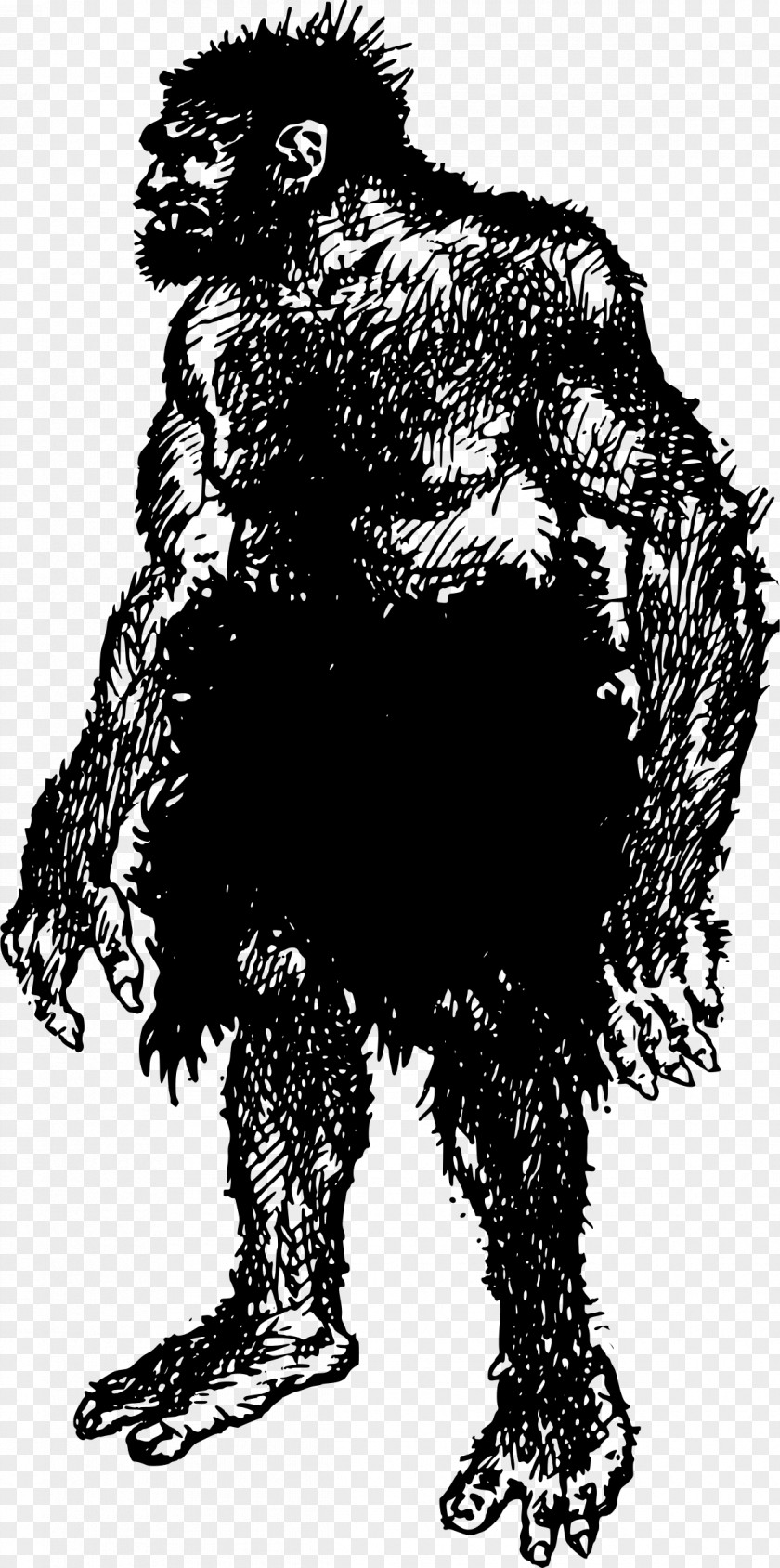 Hairy Men Gorilla Neandertal Drawing Caveman Clip Art PNG