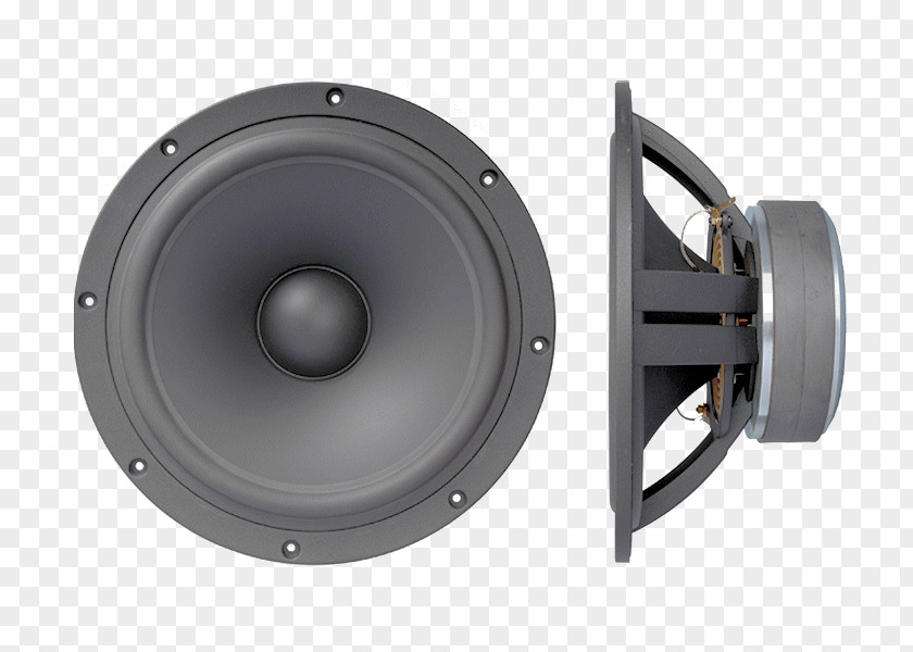 Hypex Subwoofer Computer Speakers Acoustics Loudspeaker PNG