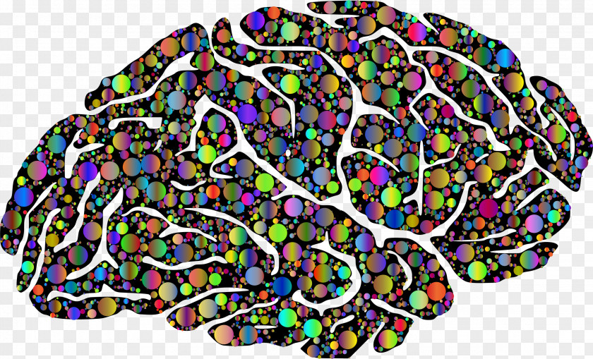 Intellect Symbol Memory And Brain Neuroscience Clip Art Vector Graphics PNG