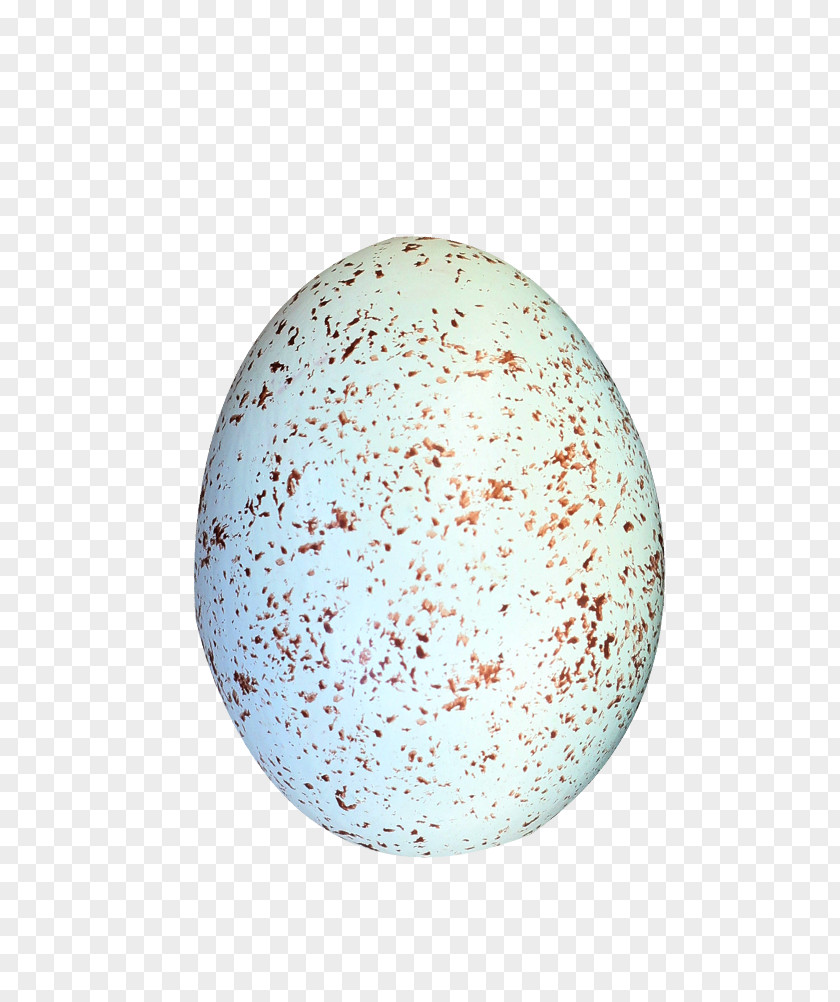 Spotted Eggs Bird Download PNG