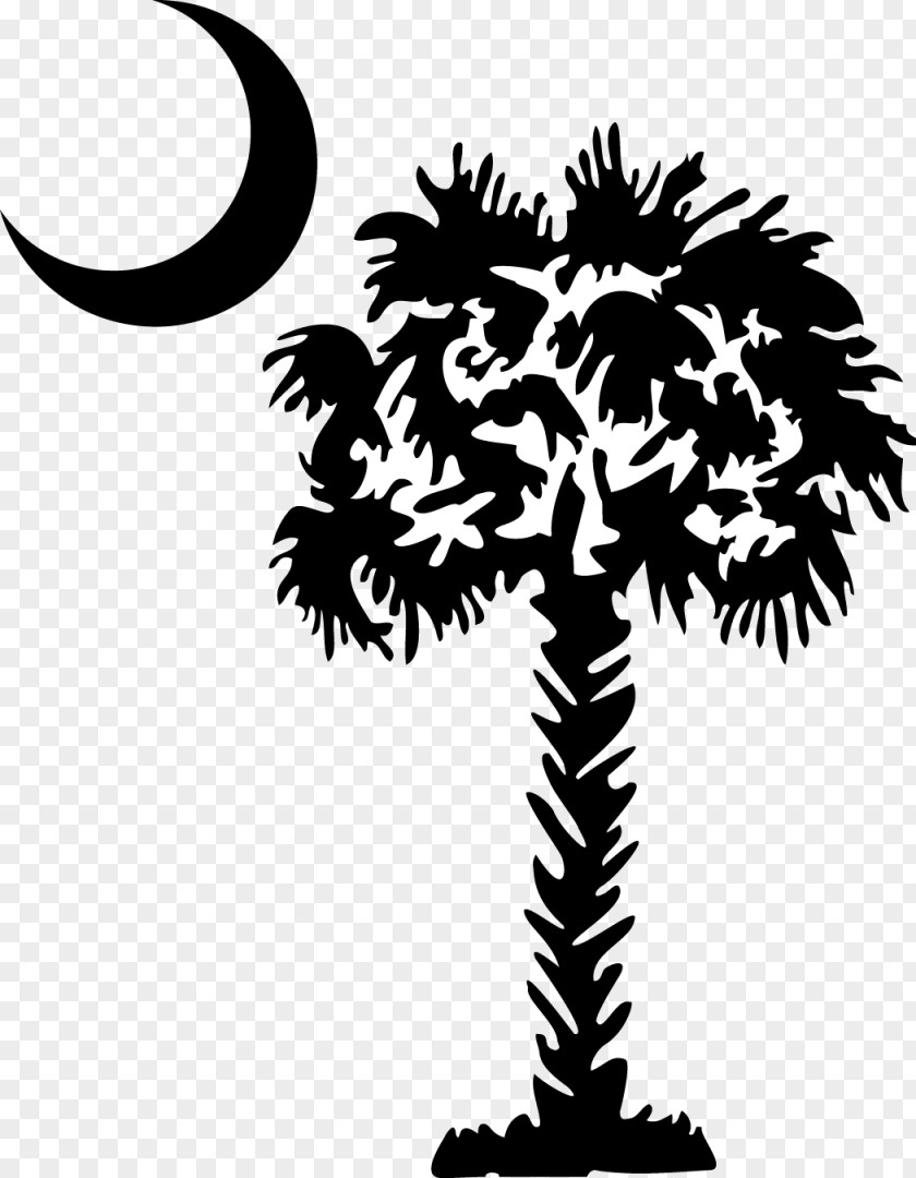 Carolina Cliparts Palmetto Sabal Palm Flag Of South Clip Art PNG