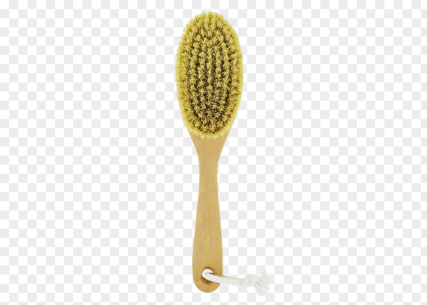 Cooking Colander Brush Bowl Potato PNG