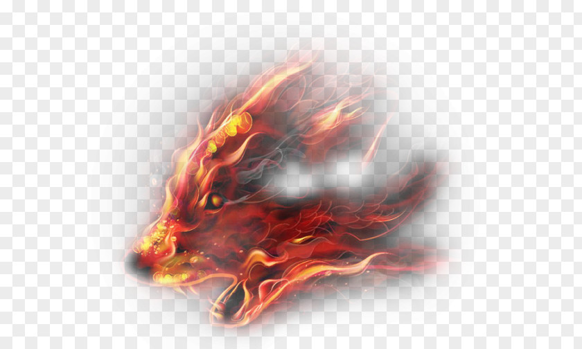 Creative Fire Wolf PNG