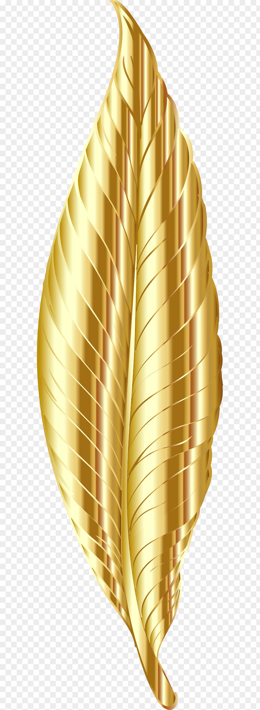 Gold Feather Clip Art PNG