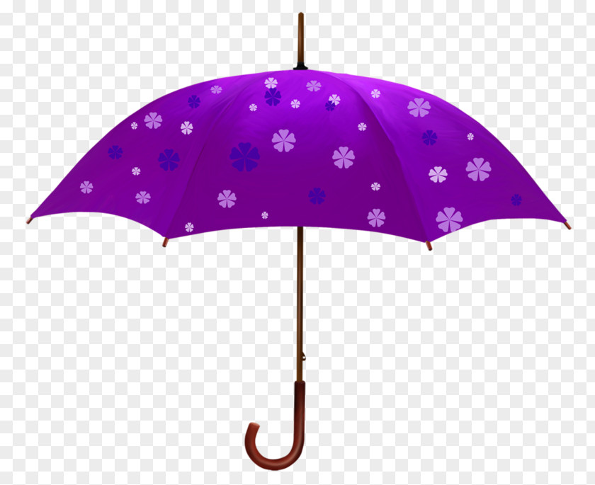 Parasol Umbrella Advertising Clip Art PNG