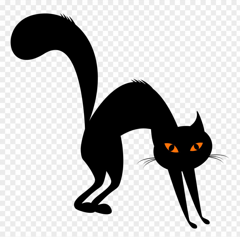 Vector Cat Ragdoll Black Whiskers Domestic Short-haired Clip Art PNG