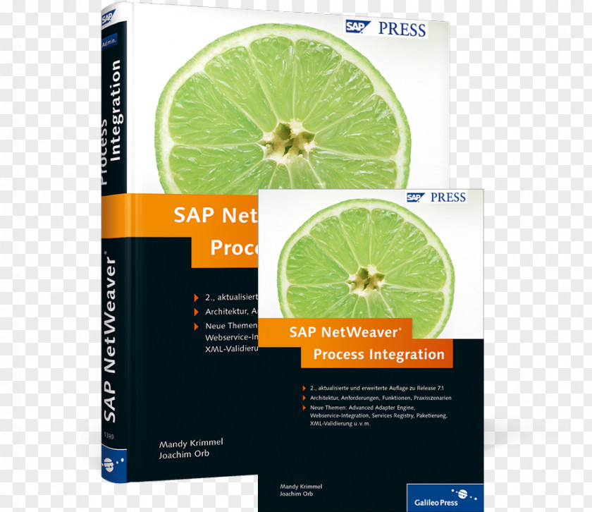 AdministrationBook SAP NetWeaver Process Integration Datenmodellierung In BW Book Praxisleitfaden PI PNG