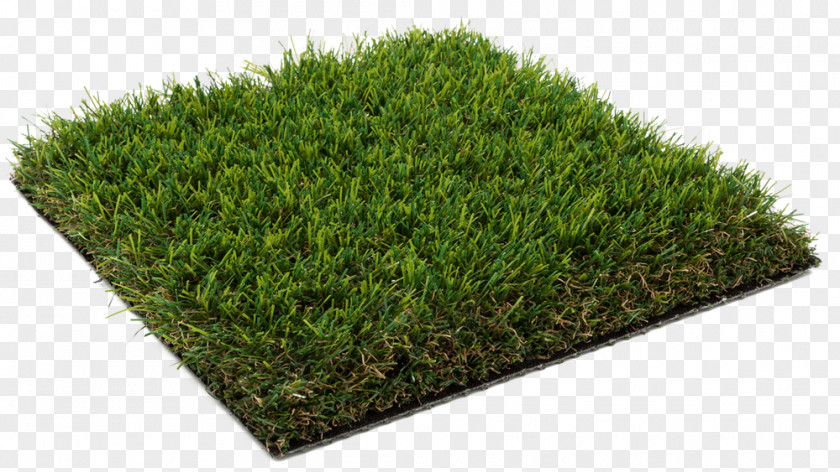 Carpet Artificial Turf Lawn Garden Flooring PNG