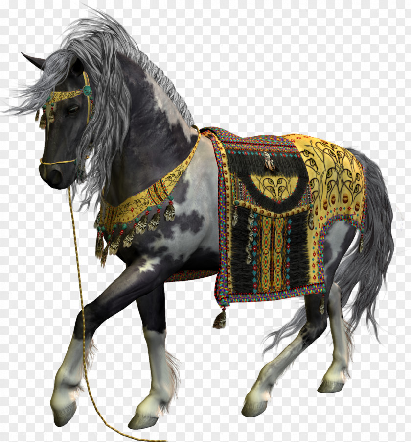Horse Transparent Saddle Pony PNG