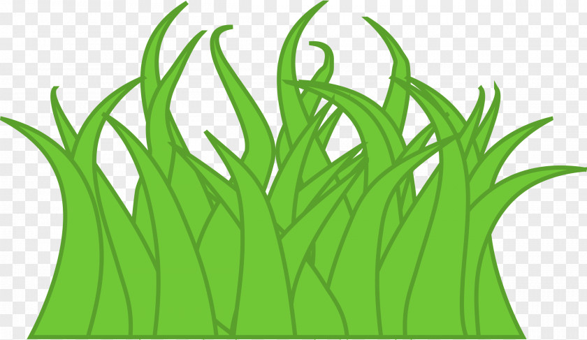 Cartoon Grass Clip Art PNG