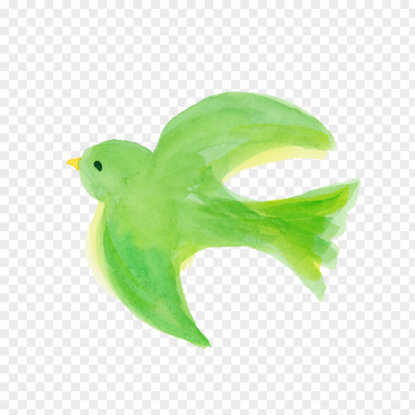 Feather PNG