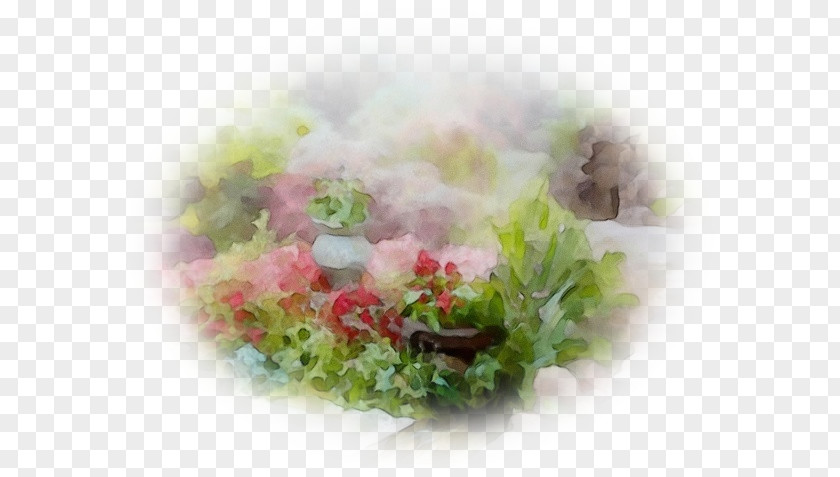 Lettuce Flower Oil Painting PNG