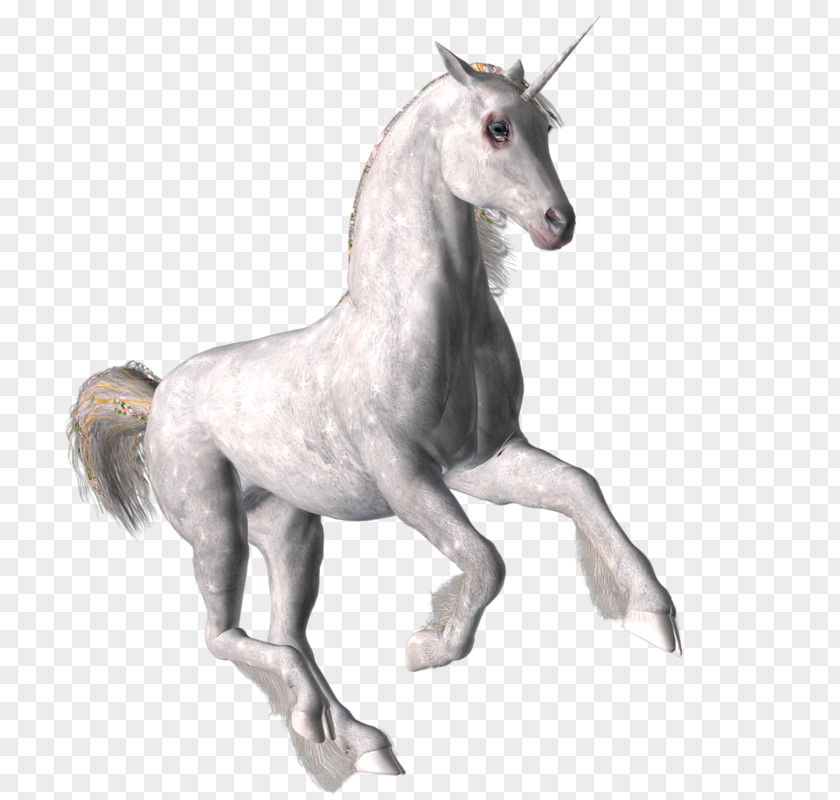 Mustang Stallion Pony Unicorn Mane PNG