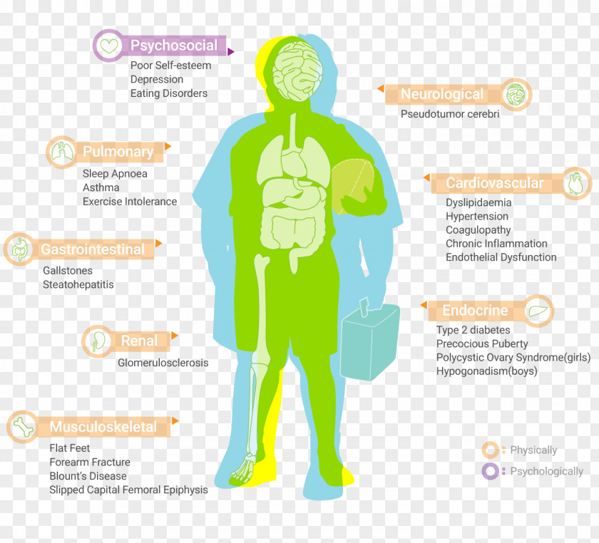 Obesity Childhood Complication Health PNG