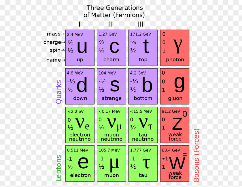 Particle Physics Boson Lepton Quark Elementary PNG