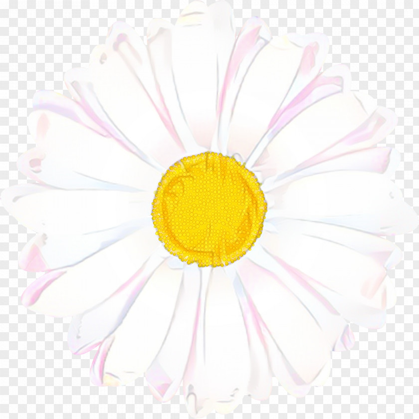 Smile Wildflower Flowers Background PNG