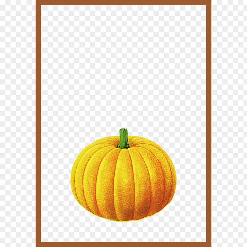 Brown Simple Frame Pumpkin Border Texture Calabaza PNG