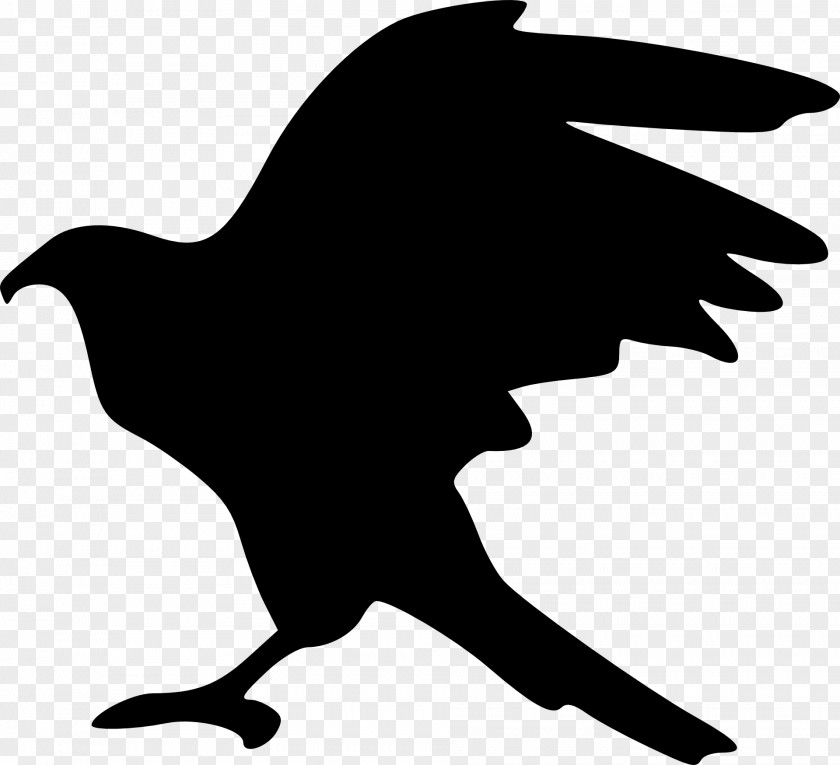 Flying Bird Bald Eagle Silhouette Clip Art PNG
