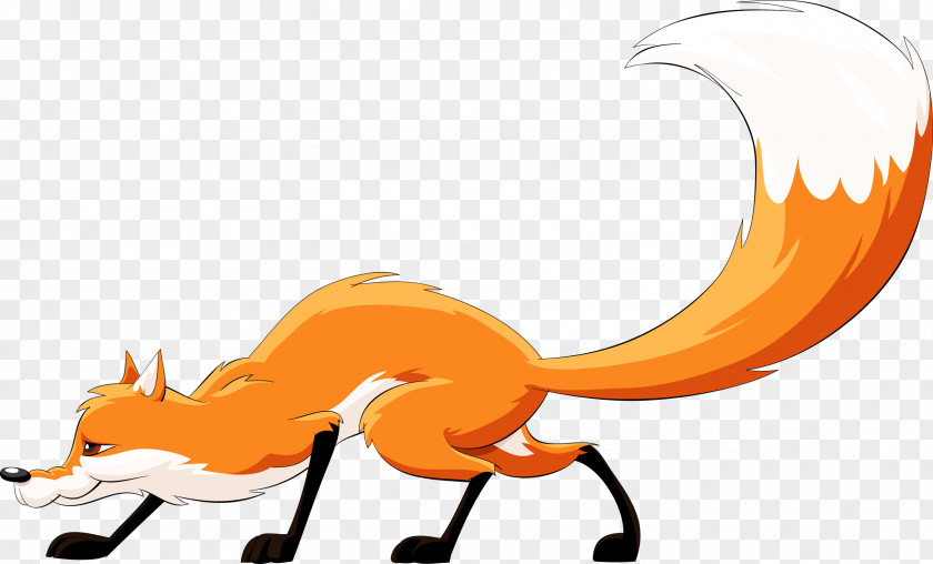 Fox Tail Stock Photography Clip Art PNG