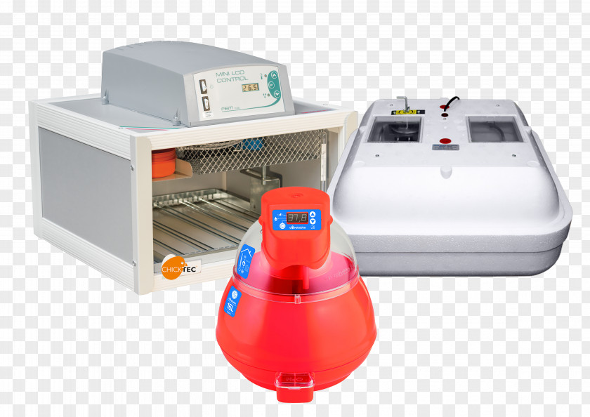 Italy Chicken Incubator Egg Incubation PNG