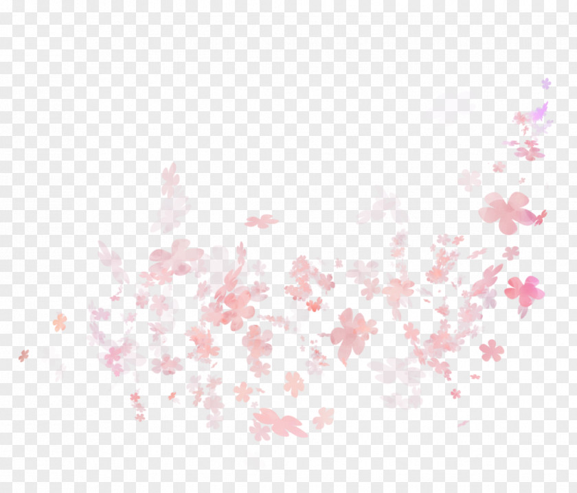 Arabesque Petal Flower Photography Pink PNG