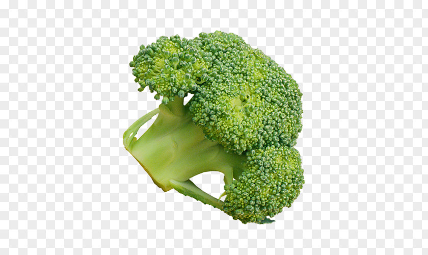 Broccoli Broccoflower Vegetable Rapini PNG