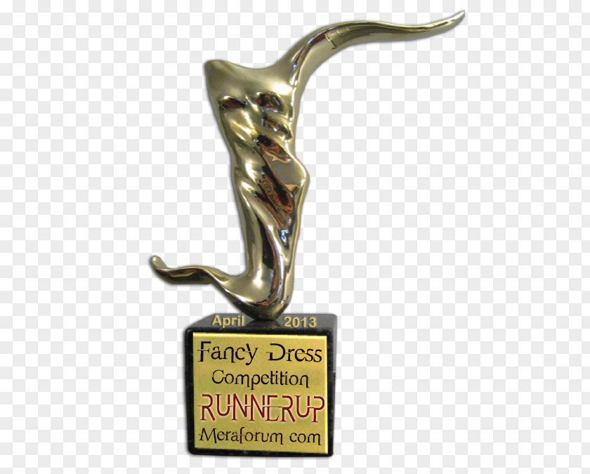 Chicken Pakora Pakistan Costume Party Competition Trophy Urdu PNG