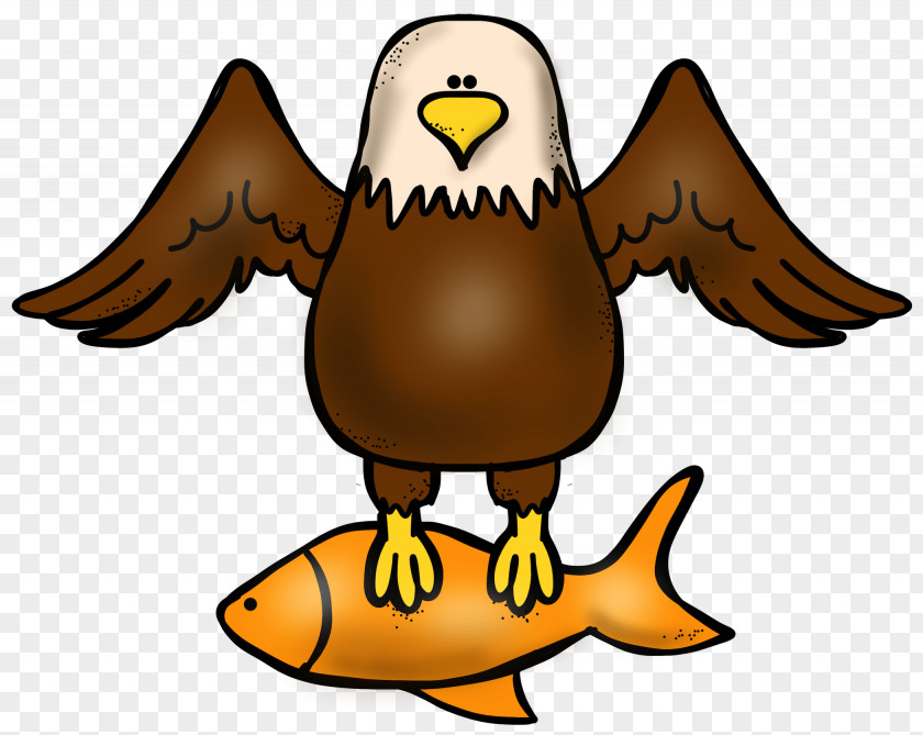 Falconiformes Wing Eagle Bird PNG