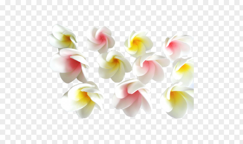 Flower Moth Orchids Cut Flowers Artificial Petal PNG