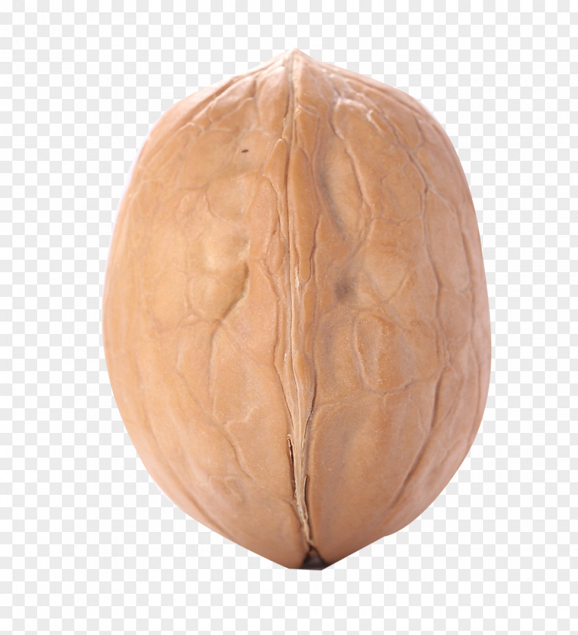 HD Walnut Google Images Computer File PNG