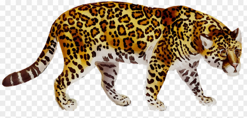 Jaguar Cars Leopard Cheetah Tiger PNG
