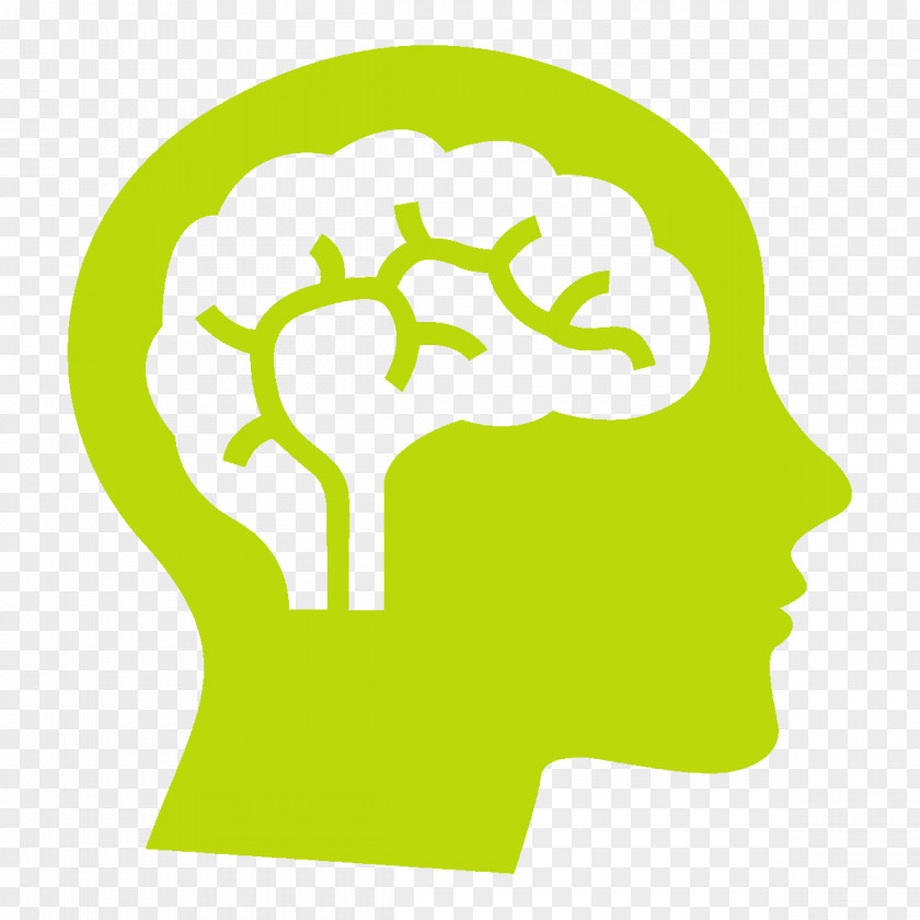 Psychology Brain Head PNG