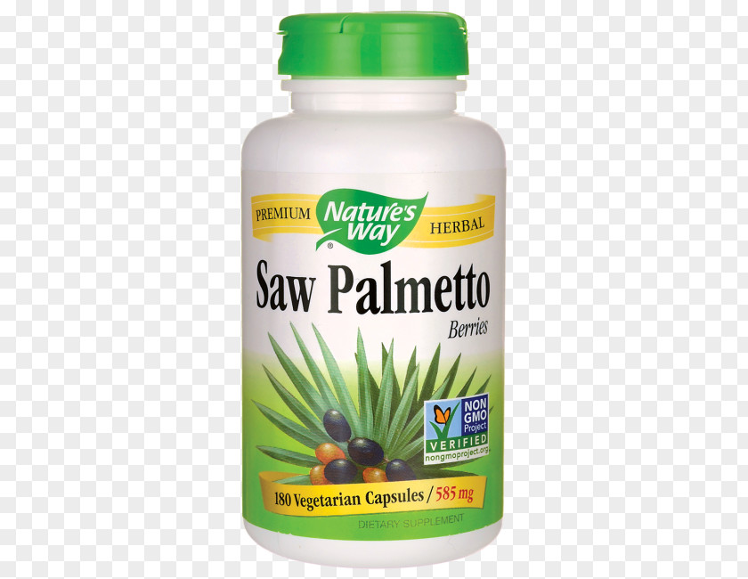 Saw Palmetto Dietary Supplement Extract Vegetarian Cuisine Capsule PNG