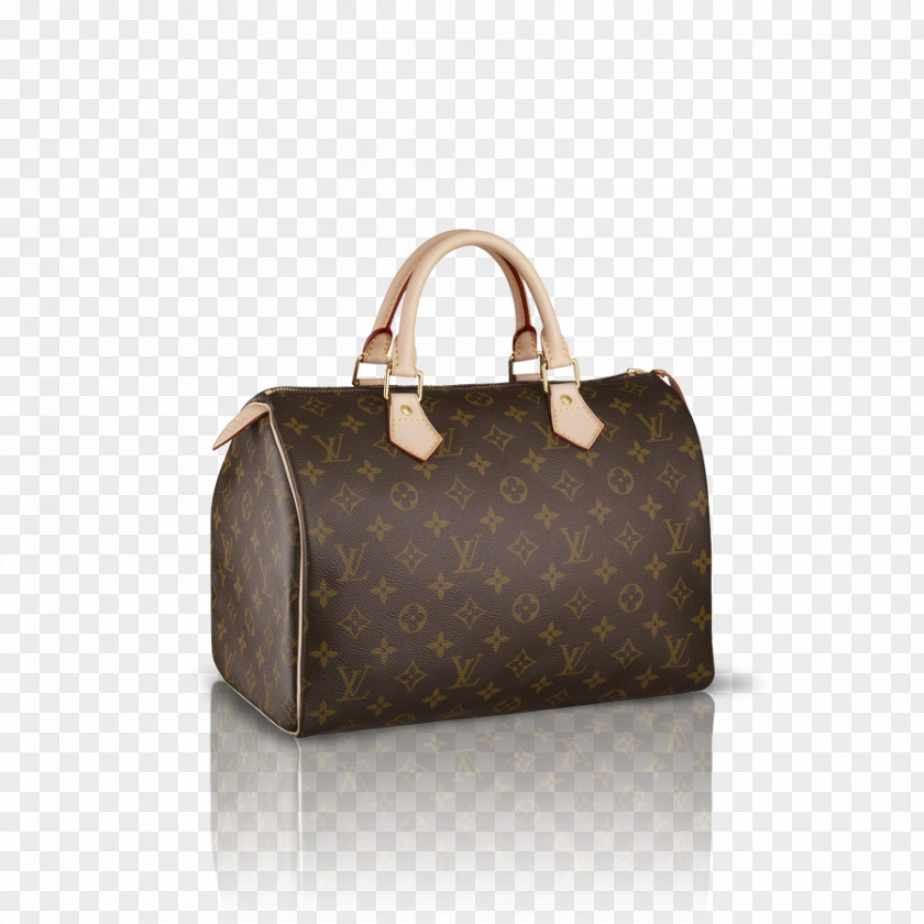 Bag Handbag Louis Vuitton Tote Hobo PNG