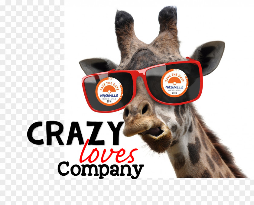 Giraffe Stock Photography Smoking PNG