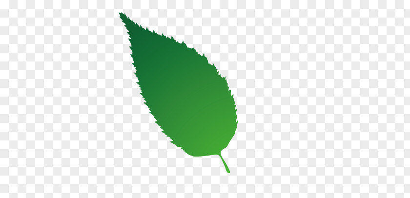 Green Leaves Leaf Computer Wallpaper PNG