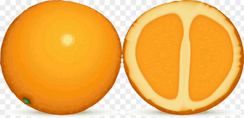 Orange Juice Lemon Fruit Clip Art PNG